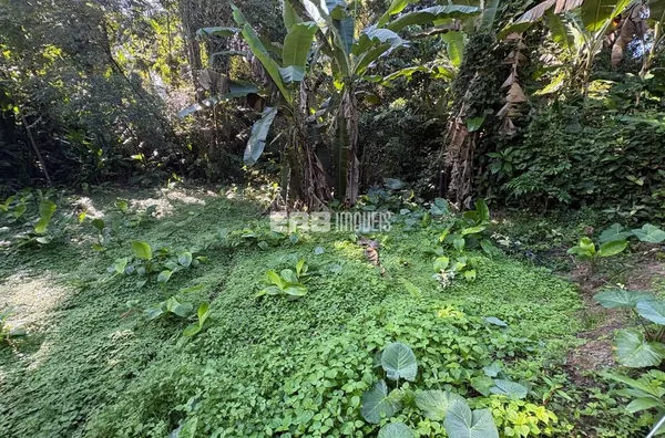 Terreno para construção imediata na praia de Itamambuca