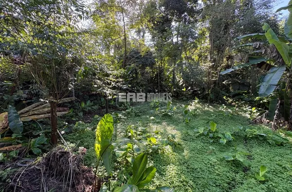 Terreno para construção imediata na praia de Itamambuca