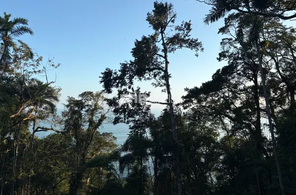 Terreno com vista Praia Prumirim