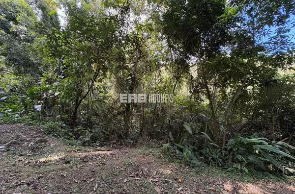 Terreno para construção imediata na praia do Félix, Ubatuba - Foto 1