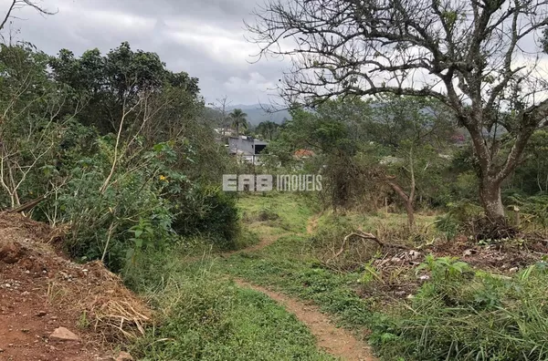 Terreno para comprar e alugar mensal,  Jd Das Palmeiras, Suzano