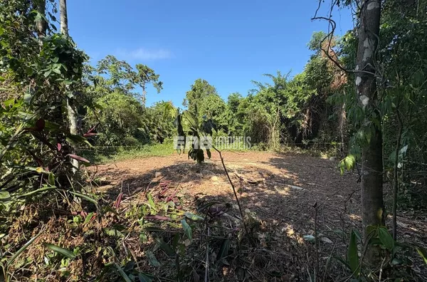 Terreno com autorização da CETESB e ao lado da área verde em Itamambuca - Foto 6