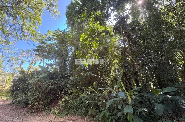 Terreno em rua par em Itamambuca, Ubatuba - Foto 1