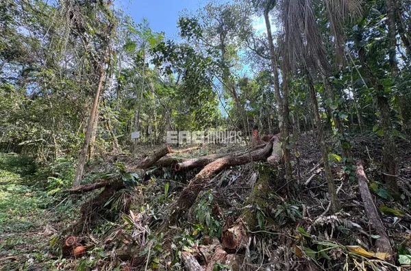 Terreno para construção imediata na praia do Félix, Ubatuba