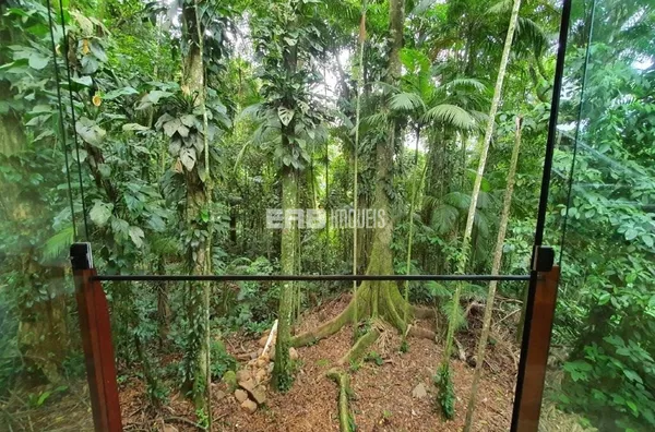 Casa à venda rodeada pela Mata Atlântica - Foto 3