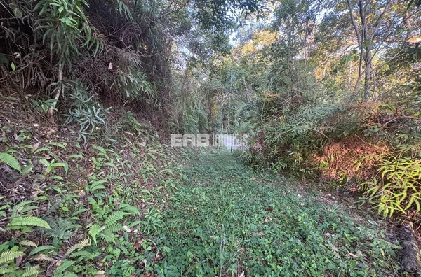 Terreno com vista Praia Prumirim - Foto 7