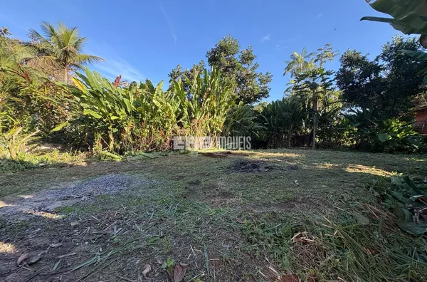 Terreno lado par, a 60m do mar, na praia de Itamambuca