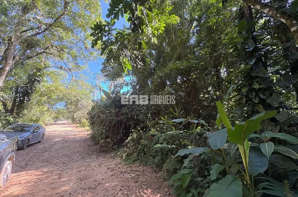 Terreno em rua par em Itamambuca, Ubatuba - Foto 4