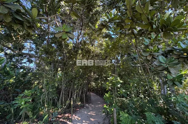 Terreno à venda a 100m do mar, na praia de Itamambuca, Ubatuba - Foto 4