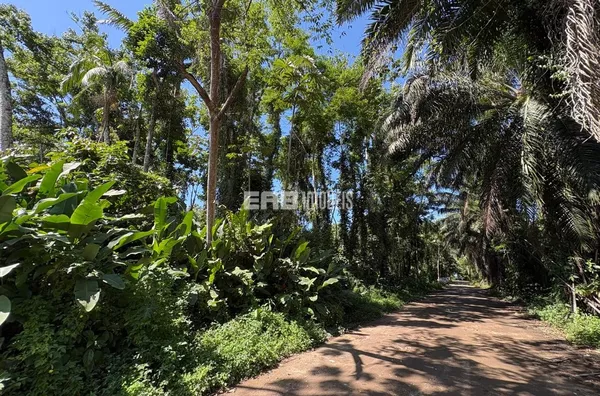 Terreno à venda em Itamambuca, Ubatuba - Foto 1