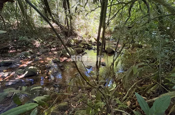 Terreno para comprar na Praia do Félix, Ubatuba