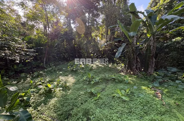 Terreno para construção imediata na praia de Itamambuca