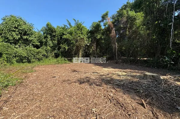 Terreno com autorização da CETESB e ao lado da área verde em Itamambuca - Foto 4