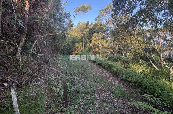 Terreno com vista Praia Prumirim - Foto 9