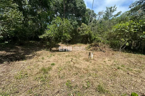 Lote frente ao mar na praia do Félix, Ubatuba - Foto 1