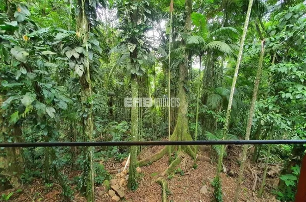 Casa à venda rodeada pela Mata Atlântica - Foto 4