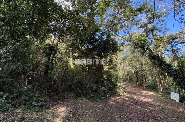 Terreno para construção imediata na praia do Félix, Ubatuba