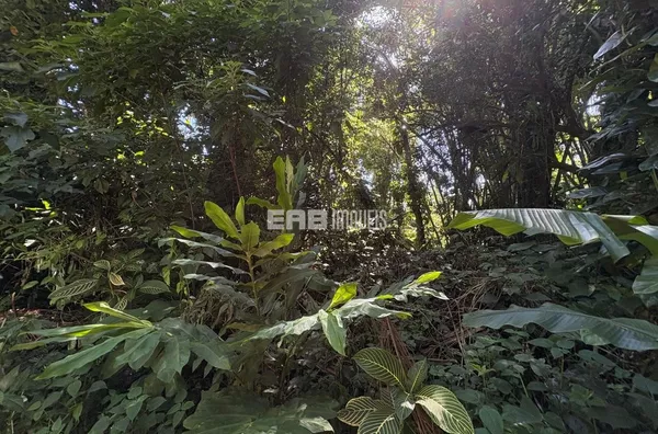 Terreno em rua par em Itamambuca, Ubatuba - Foto 2