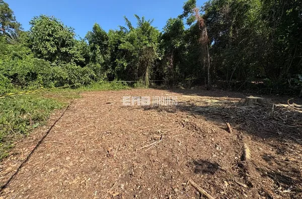 Terreno com autorização da CETESB e ao lado da área verde em Itamambuca - Foto 1