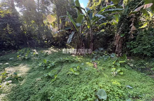 Terreno para construção imediata na praia de Itamambuca