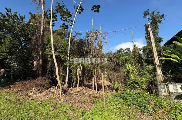 Terreno com aprovação da CETESB em Itamambuca