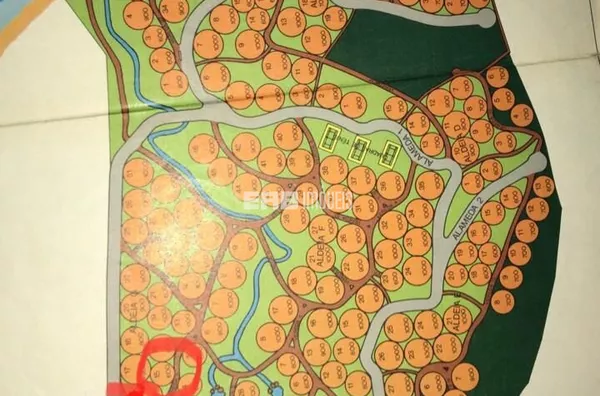 Terreno para construção imediata na praia do Félix, Ubatuba - Foto 6