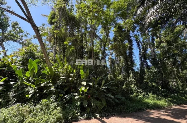 Terreno à venda em Itamambuca, Ubatuba - Foto 3