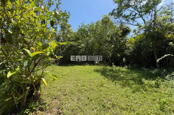 Terreno pronto para construir a 220m do mar em Itamambuca - Foto 6