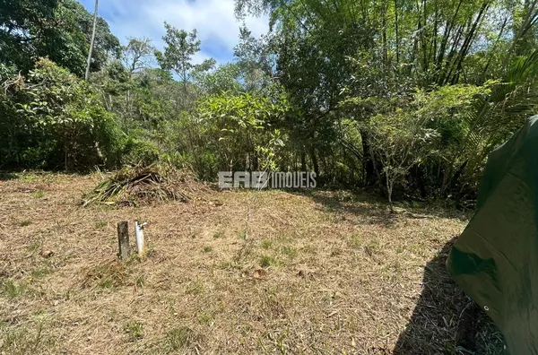 Lote frente ao mar na praia do Félix, Ubatuba - Foto 2
