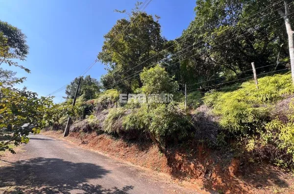 Terreno com 800 m² e aprovação de 70% para construir no Prumirim - Foto 3