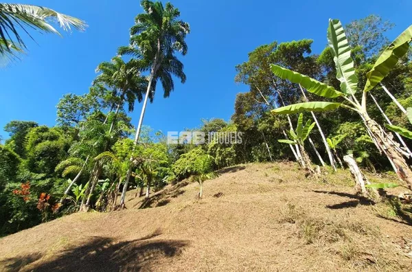 Terreno de 12.500m² à venda na Almada, Ubatuba - Foto 6