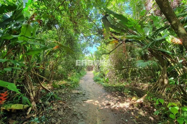 Casa à venda frente ao mar com dois terrenos, na praia de Itamambuca - Foto 72
