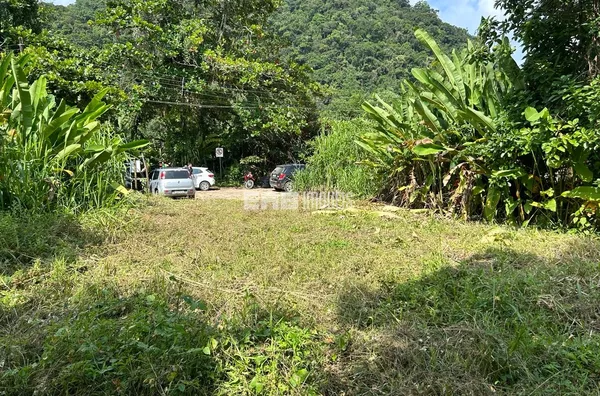 Terreno lado par, a 60m do mar, na praia de Itamambuca - Foto 4