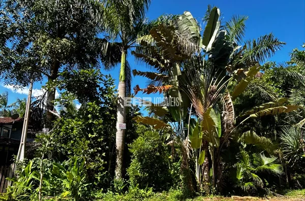 Lote à venda a 20m do mar na praia de Itamambuca - Foto 1