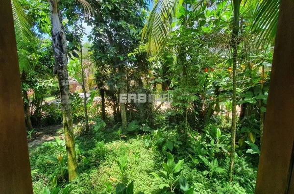 Casa para aluguel mensal em Itamambuca, Ubatuba - Foto 6