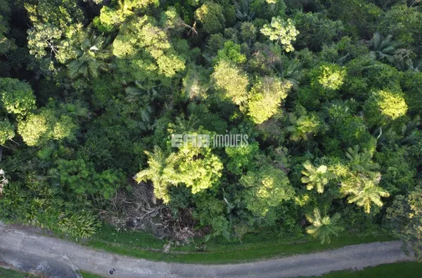 Terreno à venda na praia do Félix com CETESB aprovada! - Foto 1