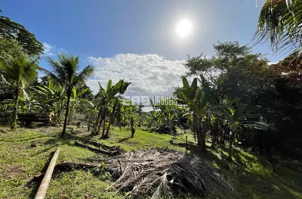 Terreno de 12.500m² à venda na Almada, Ubatuba - Foto 5