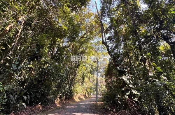 Terreno pronto para construir na praia do Prumirim, Ubatuba - Foto 5