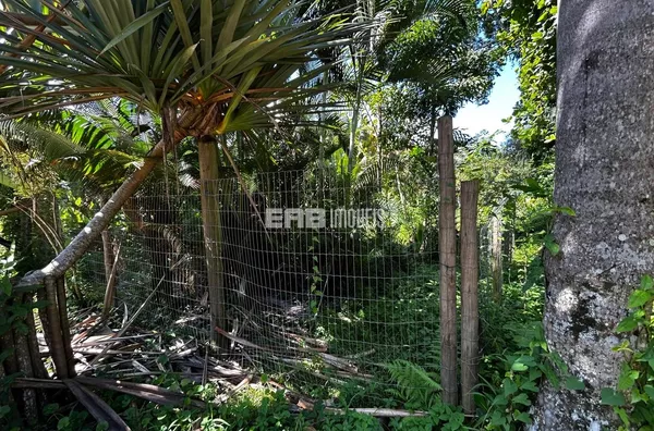 Lote à venda a 20m do mar na praia de Itamambuca - Foto 5