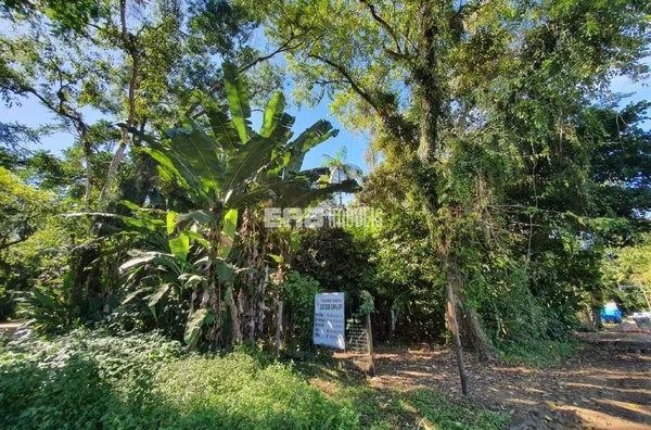 Terreno com aprovação para construir em Itamambuca - Foto 3
