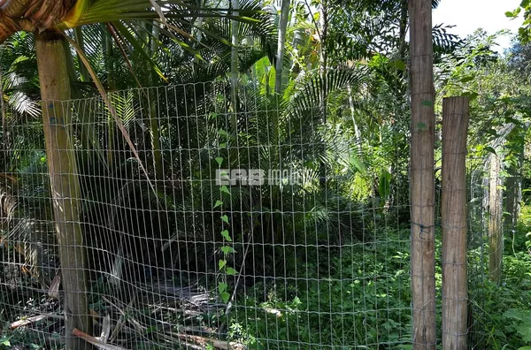 Lote à venda a 20m do mar na praia de Itamambuca - Foto 6