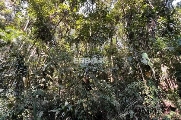 Terreno à venda com 70% de aprovação - Foto 2