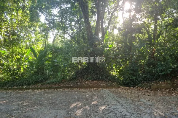 Terreno com liberação da CETESB no Jardim Alice, Ubatuba - Foto 3