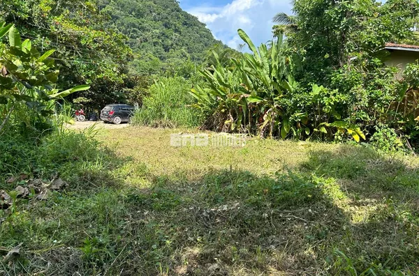 Terreno lado par, a 60m do mar, na praia de Itamambuca - Foto 6