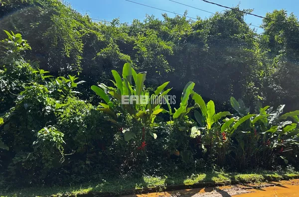 Terreno à venda com autorização da CETESB em Itamambuca - Foto 4