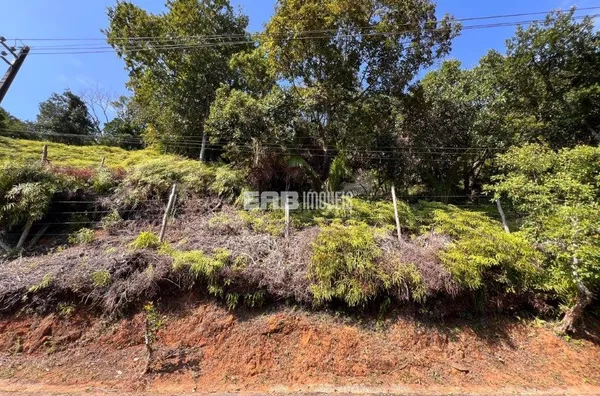 Terreno com 800 m² e aprovação de 70% para construir no Prumirim - Foto 1