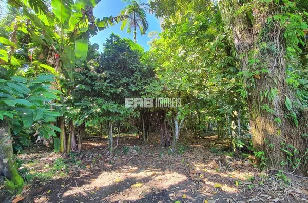 Terreno com aprovação para construir em Itamambuca - Foto 1