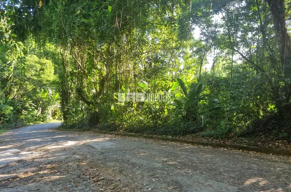 Terreno com liberação da CETESB no Jardim Alice, Ubatuba - Foto 1
