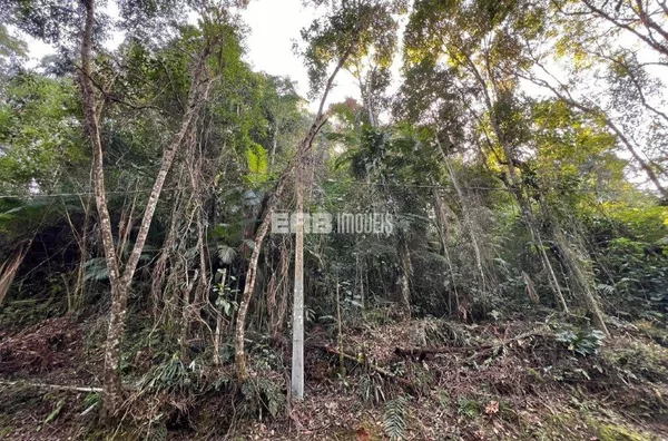 Terreno com liberação da CETESB no Prumirim, Ubatuba - Foto 3