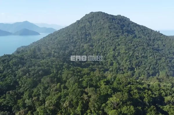 Terreno com vista para o mar no alto da Praia Vermelha, Ubatuba - Foto 4